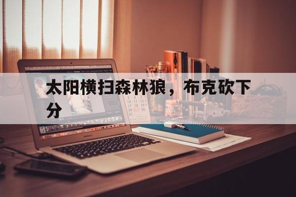 包含太阳横扫森林狼，布克砍下分的词条